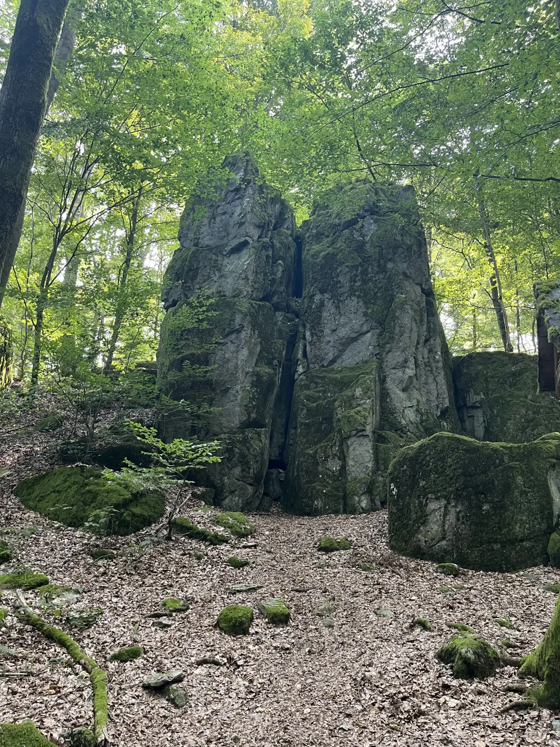 Die Götter im Westerwald Von Cynthia Wormuth
